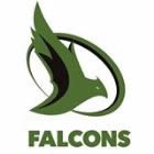 Switzerland Falcons